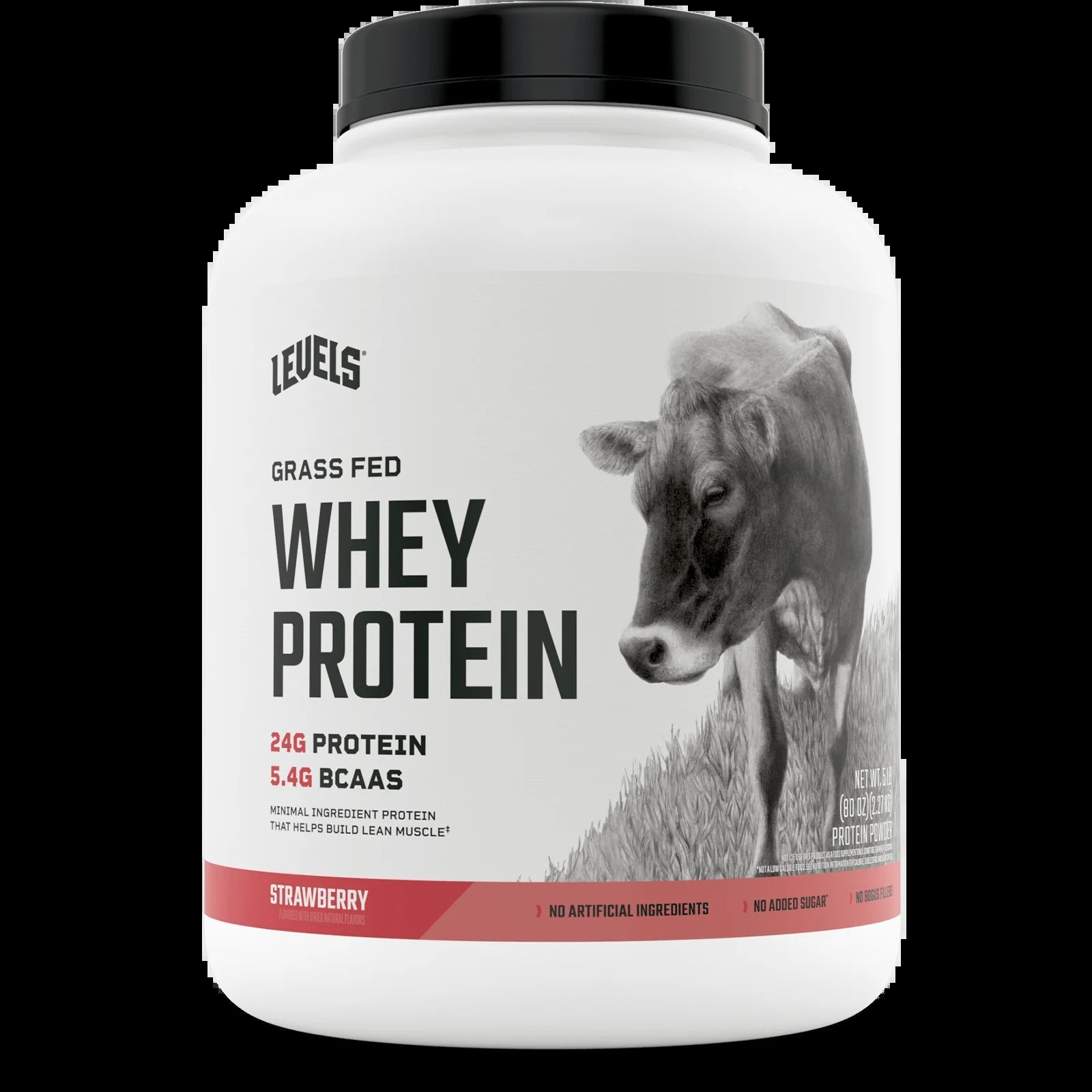 Proteína Levels Whey 