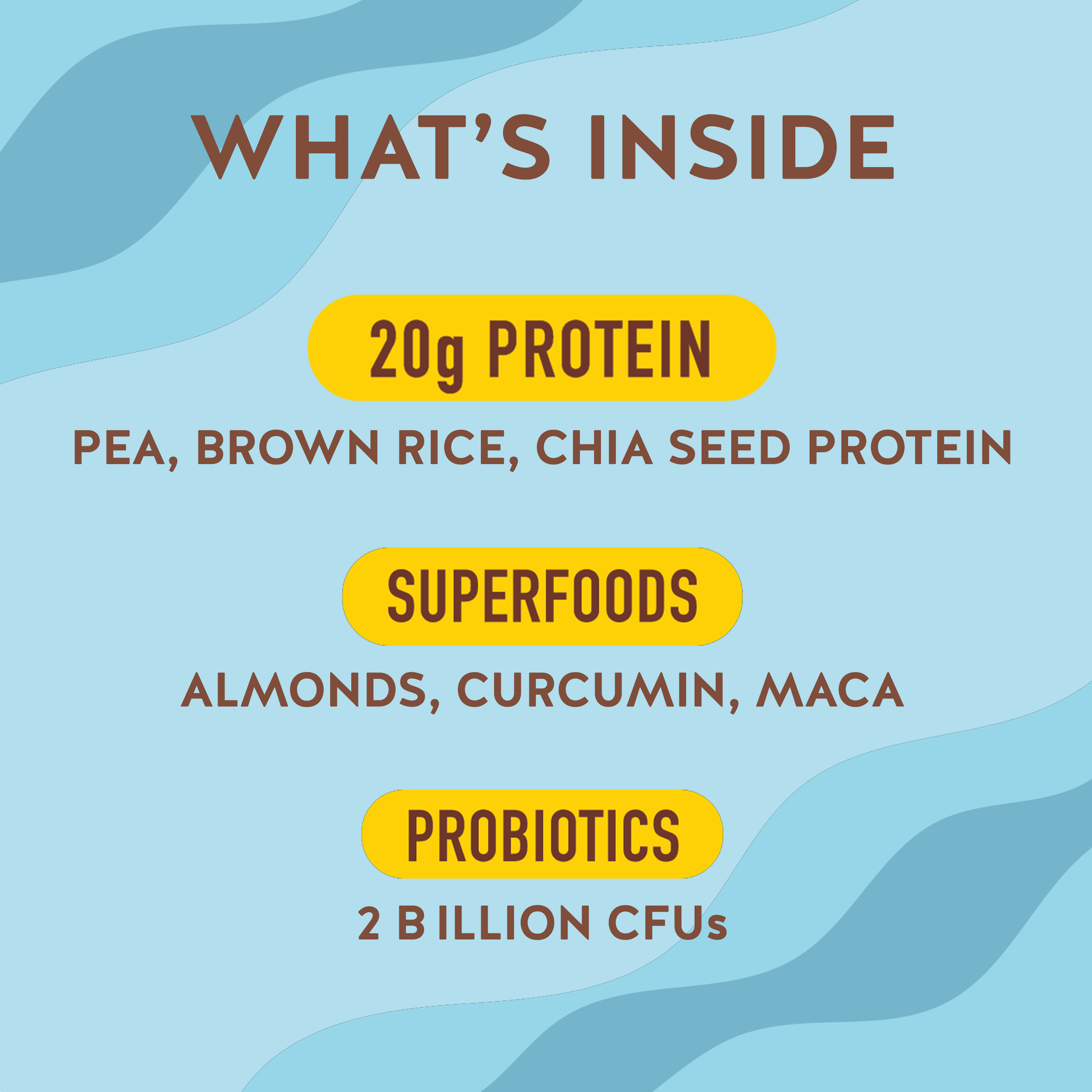 Plant Protein Powder, Golden Vanilla